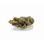 Sativa Poland Susz CBD Super Silver Haze - 3